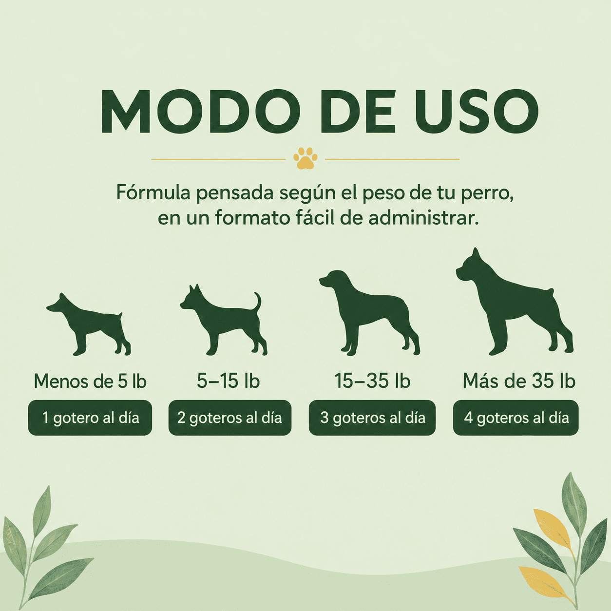 Colágeno Líquido 5X para Perros